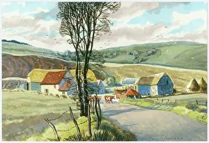 Jezzard: A Farm on the Wiltshire Downs