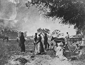 Plow: Farm Workers