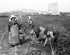Collieries: Farm workers in Cornwall Victorian period