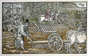 Labouring: Farm workers ploughing fields