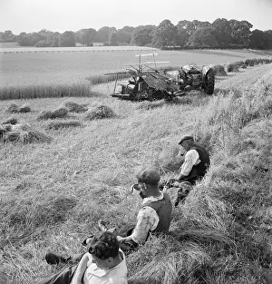 Sheaves: Farm Workers Resting