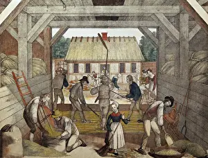 Flail: Farm workers threshing grain