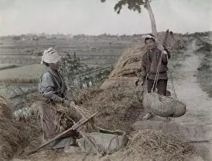 Grains: Farm workers tripping rices grains from straw, Japan