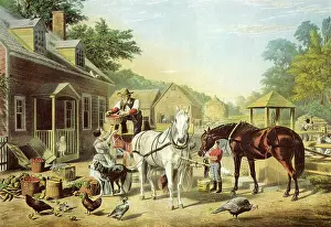Barnyard: Farm Yard