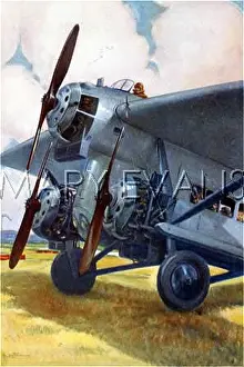 Jabiru: FARMAN F-120 JABIRU