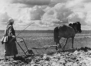 Farmer