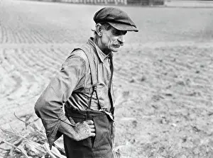 Suffield: Farmer - Agriculture - Field
