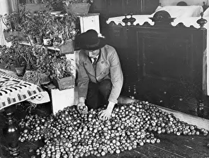 Heated: Farmer with apple stock