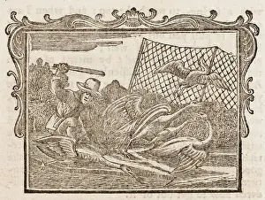Begs: Farmer, Cranes - Stork