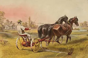 Geared: A farmer drives a horse-powered mowing machine