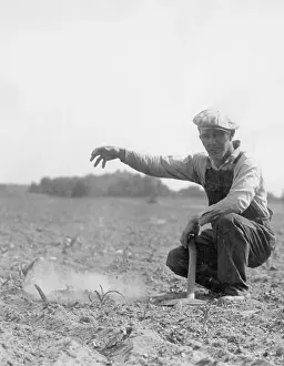 Drops: Farmer during the drought in his field in the corn belt of t