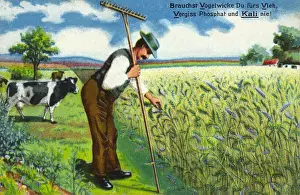 Raiser: Farmer in the field