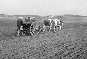 Seeding: Farmer - field seeding
