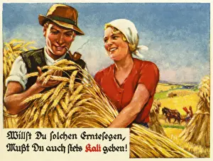 Fieldwork: Farmer during the harvest