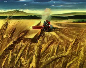 Reap: Farmer Harvests Wheat