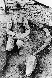 Dino: Farmer with head and neck of a dinosaur, 1931