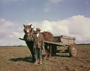 Brasses: Farmer with horse and cart in a field