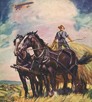 Barnyard: Farmer, Horses and Plane