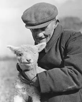 Tickles: FARMER & LAMB