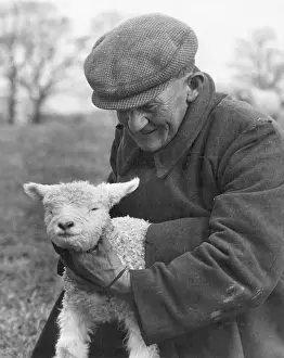 Tickles: FARMER & LAMB