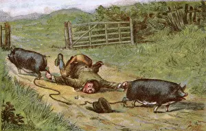 Amusing: Farmer loses control of his pigs