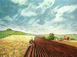 Husbandry: Farmer Ploughing Field