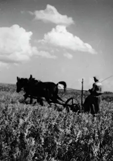 Zoltan: Farmer plowing the field