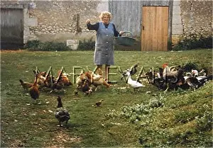 Dordogne: FARMER AND POULTRY