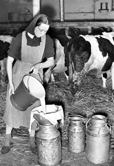 Pours: Farmer during the pouring of milk, 1941