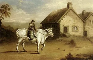 Longhorn: Farmer Rides Bull