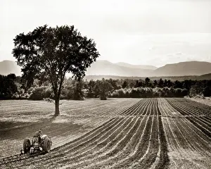 Catskill: Farmer on Tractor Cultivating Tilling Soil