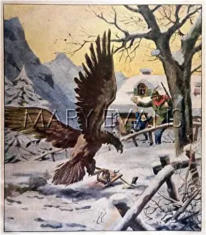 Vallelunga: FARMER TRAPS EAGLE