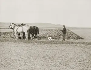 Lcgr2001: A farmer turns over the first sod on a new