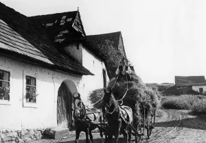 Drives: Farmer in a village in the Spis, 1939