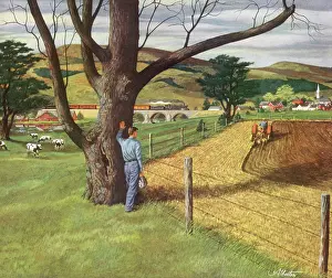 Atherton: Farmer Watches Reaping