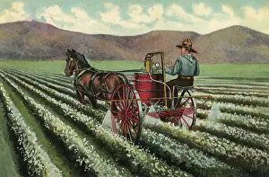 Nourish: Farmer Watering Crops