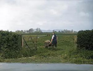Farmworkers: FARMER WITH WHEELBARROW