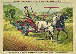Horsepower: Farmer working with a Champion light binder machine