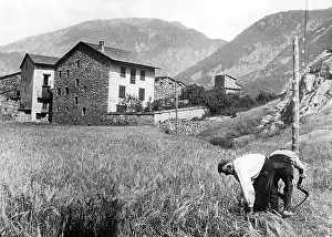 Andorra: Farmers of Andorra in the Pyrenees