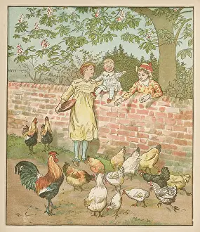 Caldecott: FARMER'S BOY AND HENS