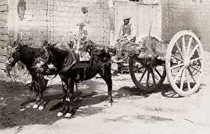 Sommer: Farmers cart being pulled by a pair of horses