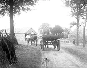 Graft: FARMERS COMING HOME