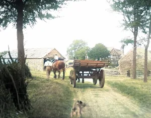 Graft: FARMERS COMING HOME