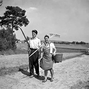Malovice: Farmers during harvest