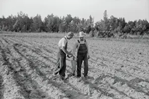 Planter: Farmers - Occupations - Agriculture