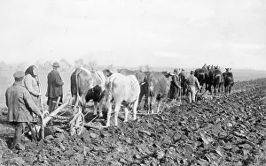 Plowing: Farmers plowing, 1910