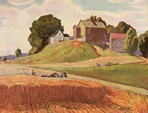 Plowing: Farmers plowing Wheat Field