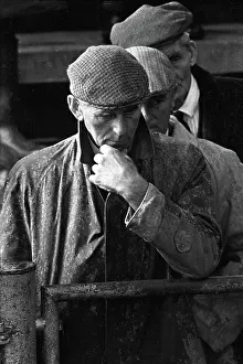Think: Three farmers at sheep sale
