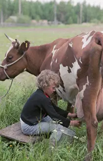 Sasha: Farmer's son