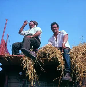 Stook: Two farmhands at harvest time